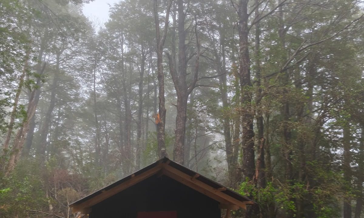 IMG-20251010-WA0148