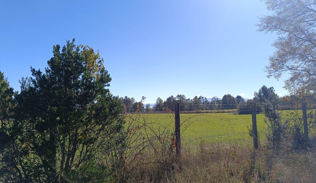 Venta Terreno Candelaria(7)