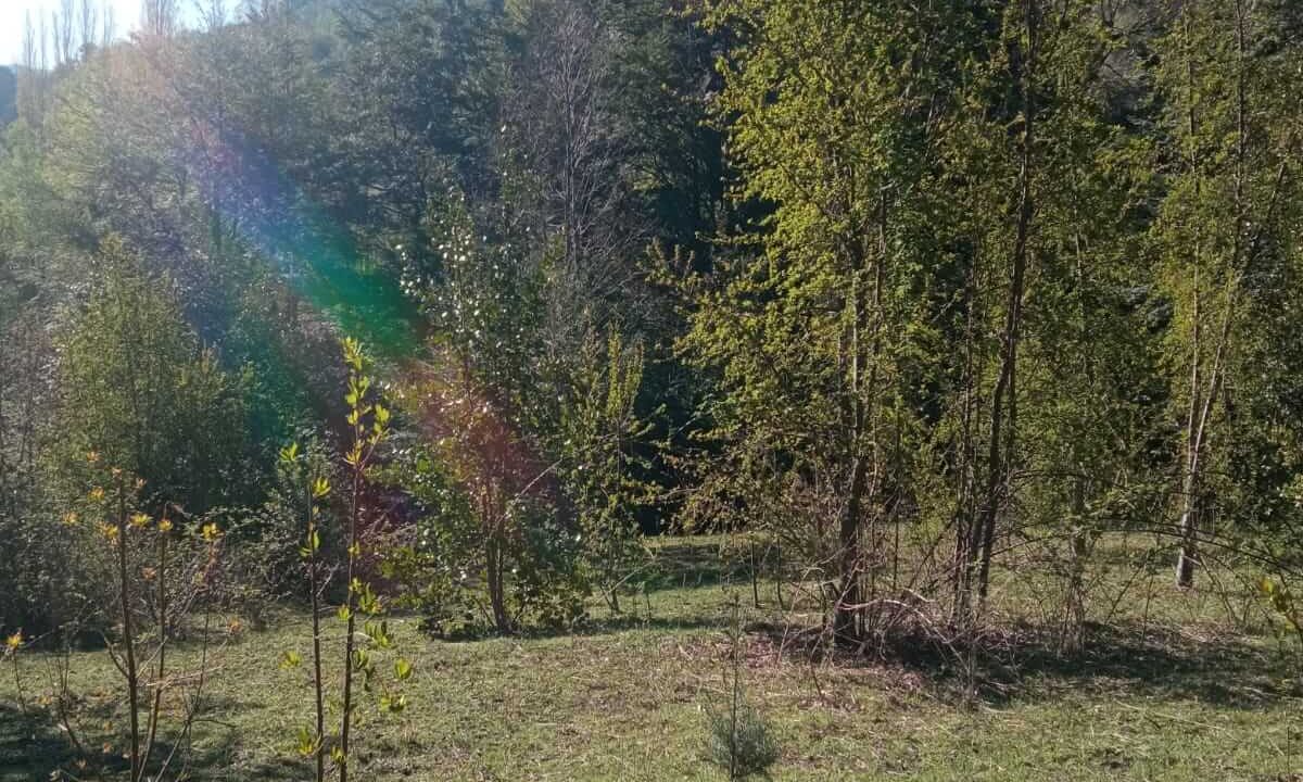 Venta Terreno Coilaco