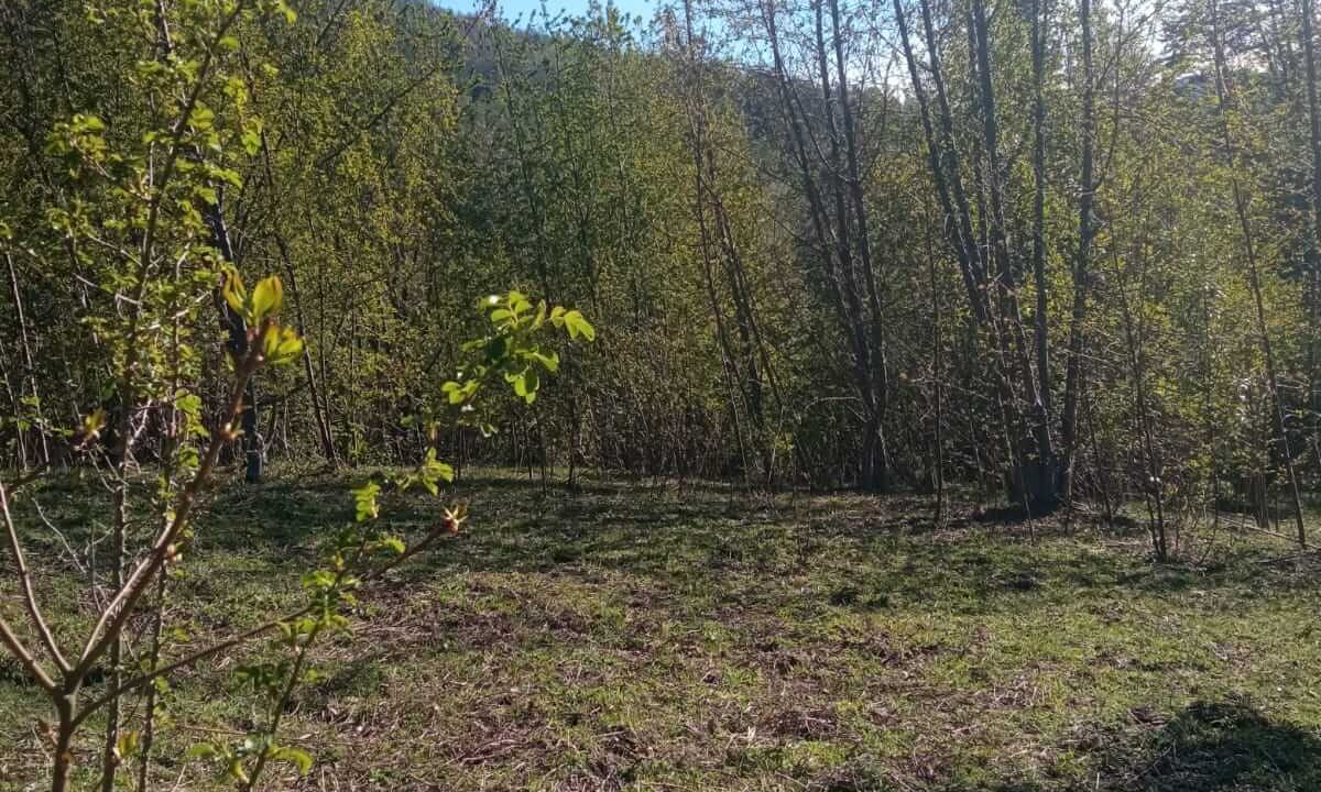 Venta Terreno Coilaco81(1)