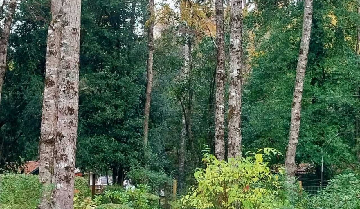 Venta depto pucon andino(12)