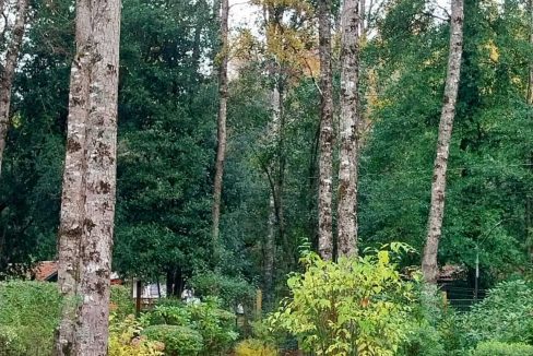 Venta depto pucon andino(12)
