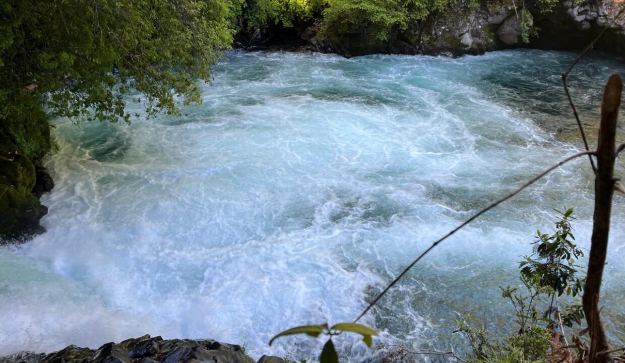 IMG-20251217-WA0079