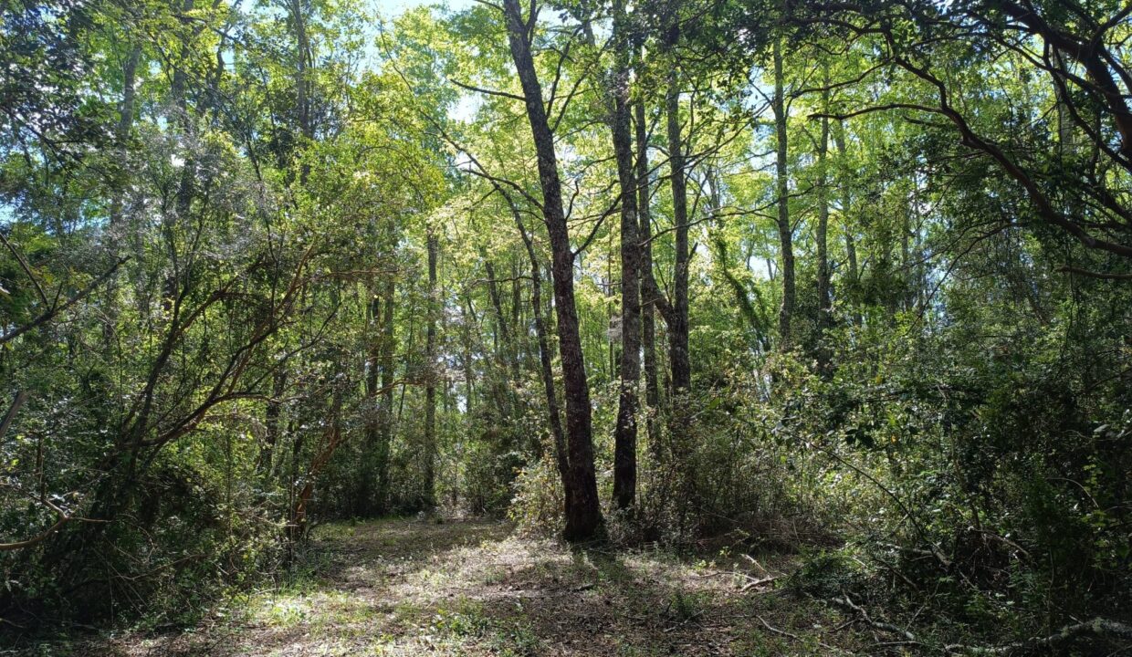 IMG_20261016_154513